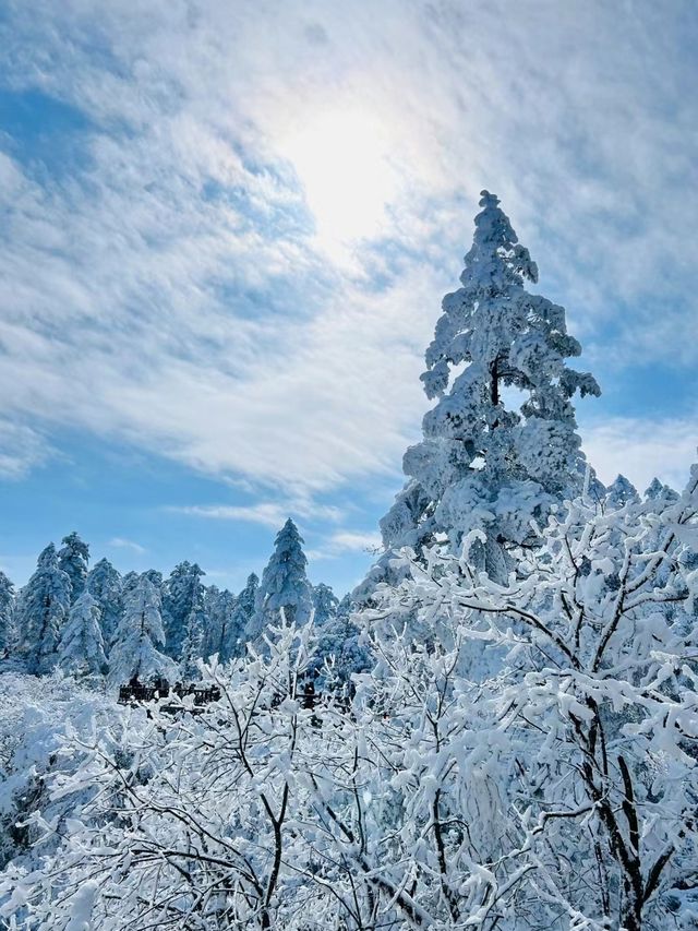 不要錯過南方的冰雪世界哦～