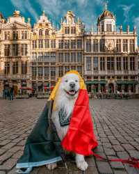 5 THINGS YOU MUST KNOW ABOUT BELGIUM 🇧🇪😍