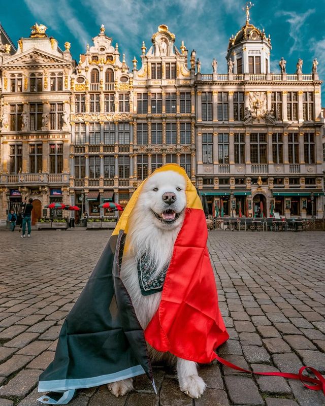 5 THINGS YOU MUST KNOW ABOUT BELGIUM 🇧🇪😍