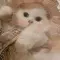 Cook_Darlene_63
