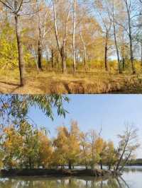 （濕地公園，大劇院）