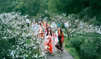 幸福古村攜帶著油菜花來啦，三月桃李還會遠嗎