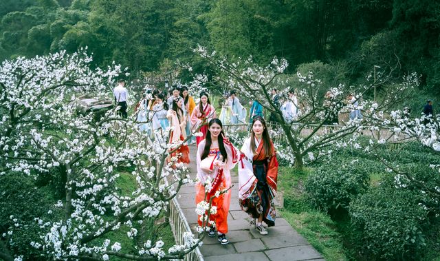 幸福古村攜帶著油菜花來啦，三月桃李還會遠嗎