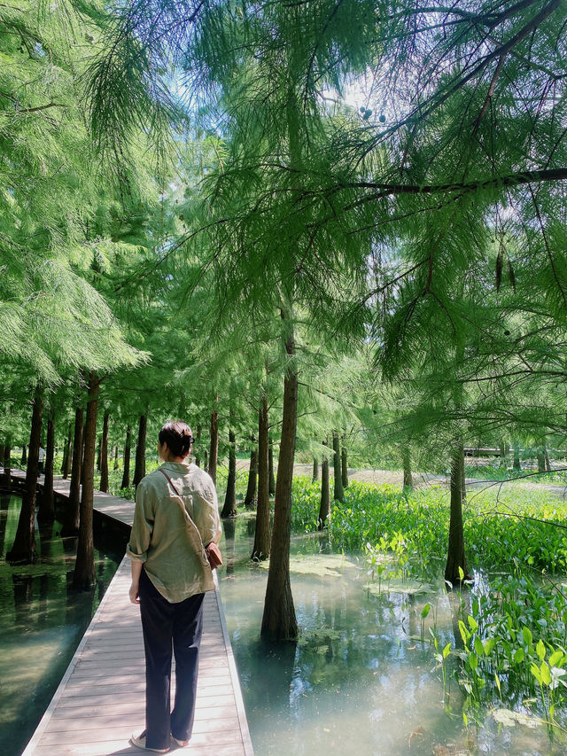 在常州｜一起去山林吸氧吧