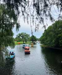 這個假期準備去哪玩？去上海楊浦區上海共青森林公園