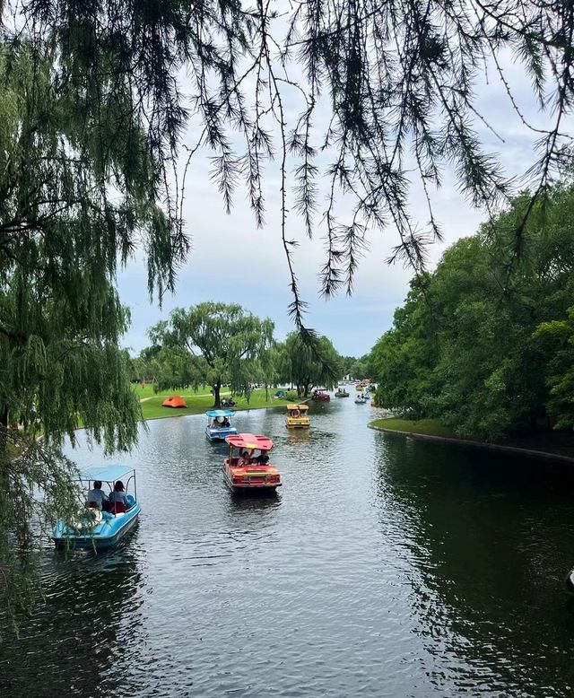 這個假期準備去哪玩？去上海楊浦區上海共青森林公園