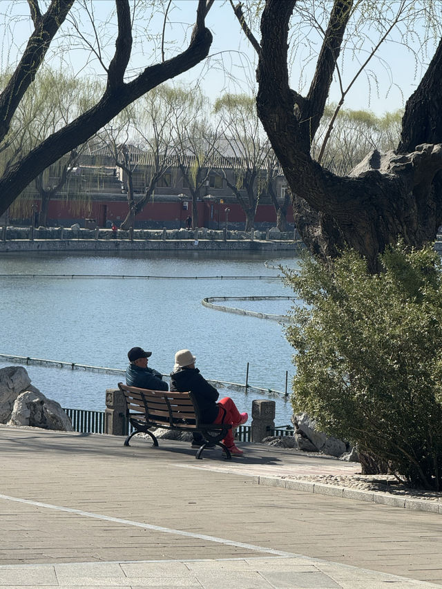 20分鐘公園理論｜北海公園去不夠！！！