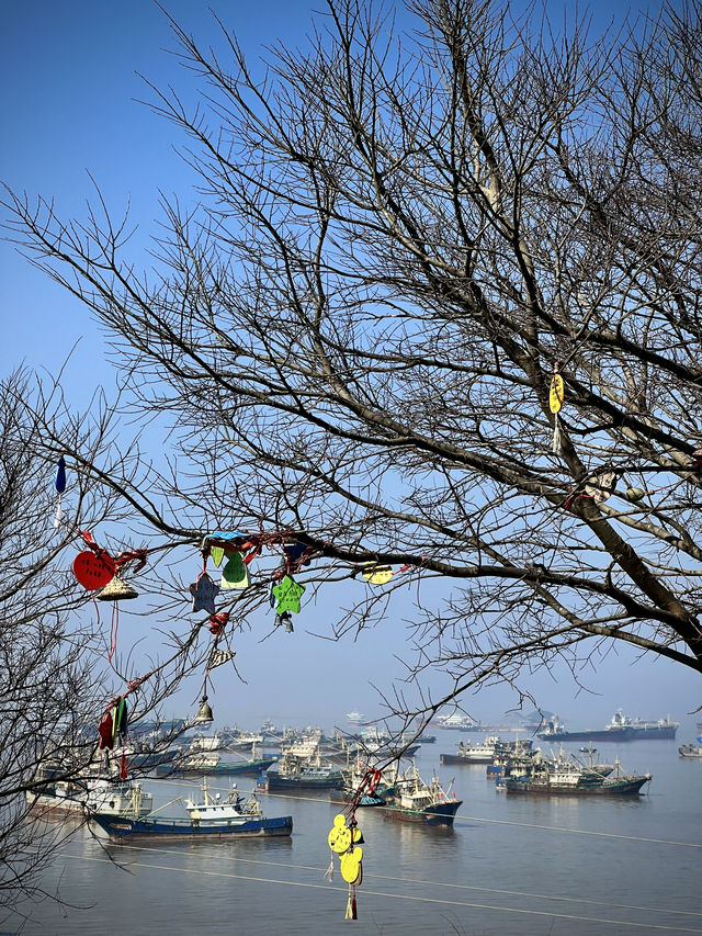 迷人的小箬島