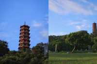 我官宣，這就是深圳光明的宮崎駿動漫般公園