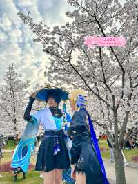 Sakuras making Gucun Park feel like a movie🌸
