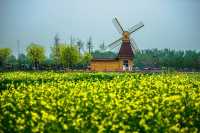 濟南周邊3～5月賞花攻略