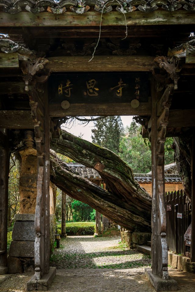 海拔千米，穿越千年時空的浙江最美古寺