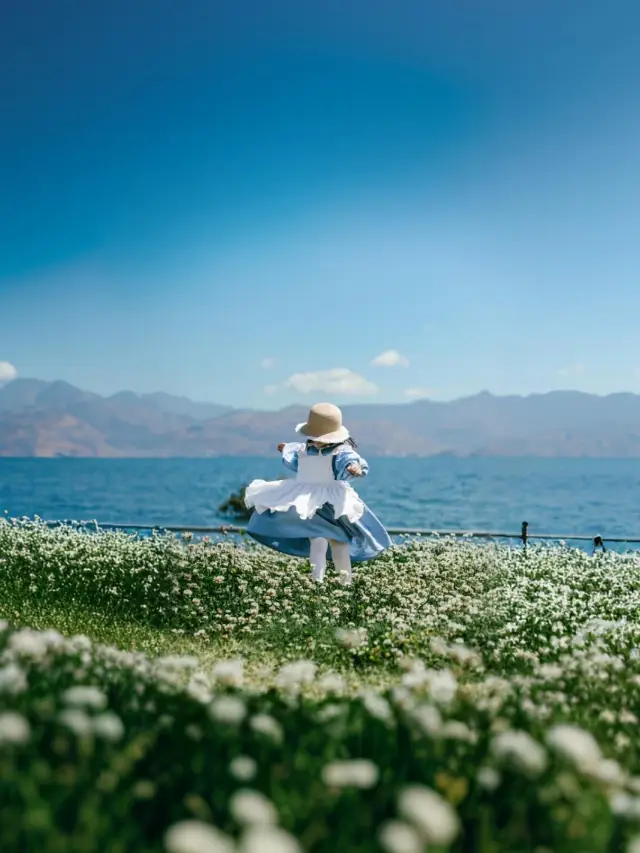 Please take my advice! Don't go with the crowd during Qingming and May Day