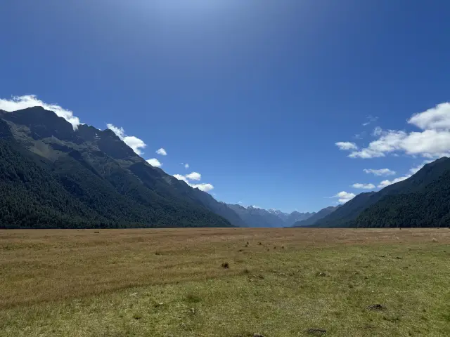 “世界第八大自然奇觀”米爾福德峽灣國家公園