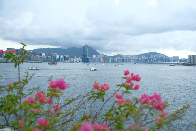 來香港總要花幾塊錢坐一次天星小輪吧