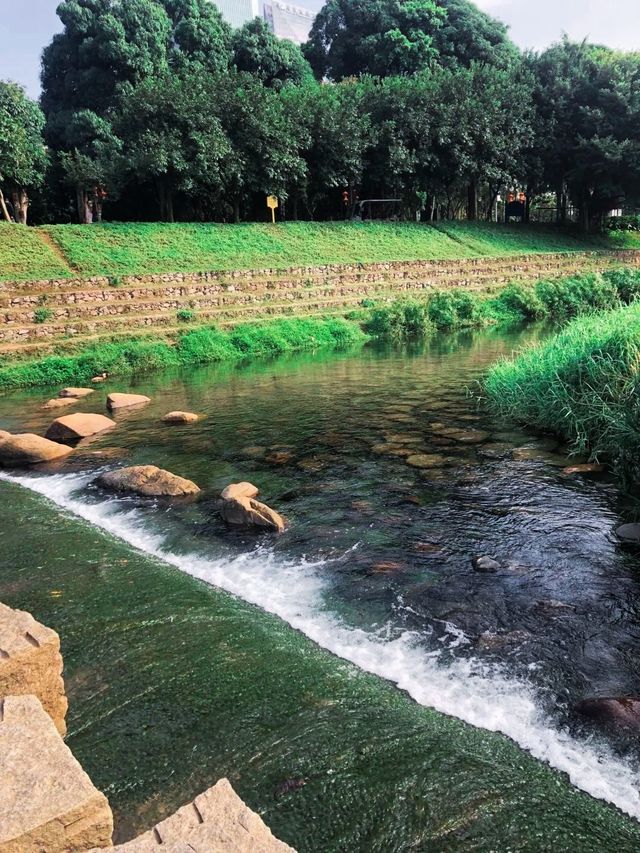 夏日治愈系綠色這個公園隨手一拍都好美