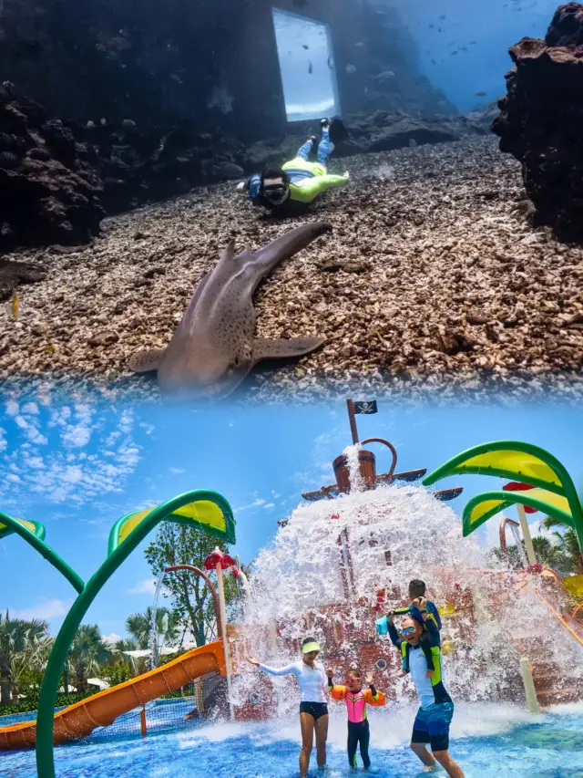 Diving in Haitang Bay, explore the mysteries with HAOHSIN Resort