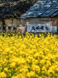 新安江畔｜探秘華東隱藏的山水仙境!