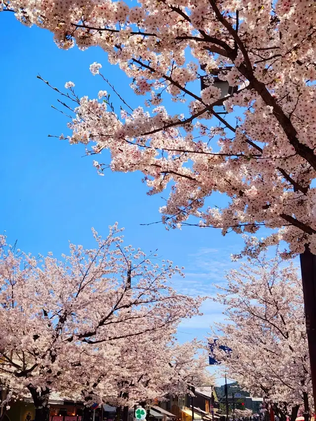 Sagano Arashiyama