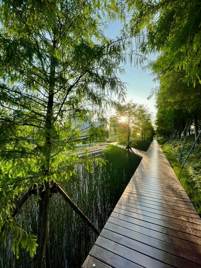 深圳桂灣公園｜城中“水廊道”