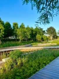深圳桂灣公園｜城中“水廊道”