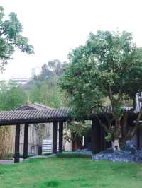 泸州春遊住宿攻略：發現桂圓林裡的寶藏酒店