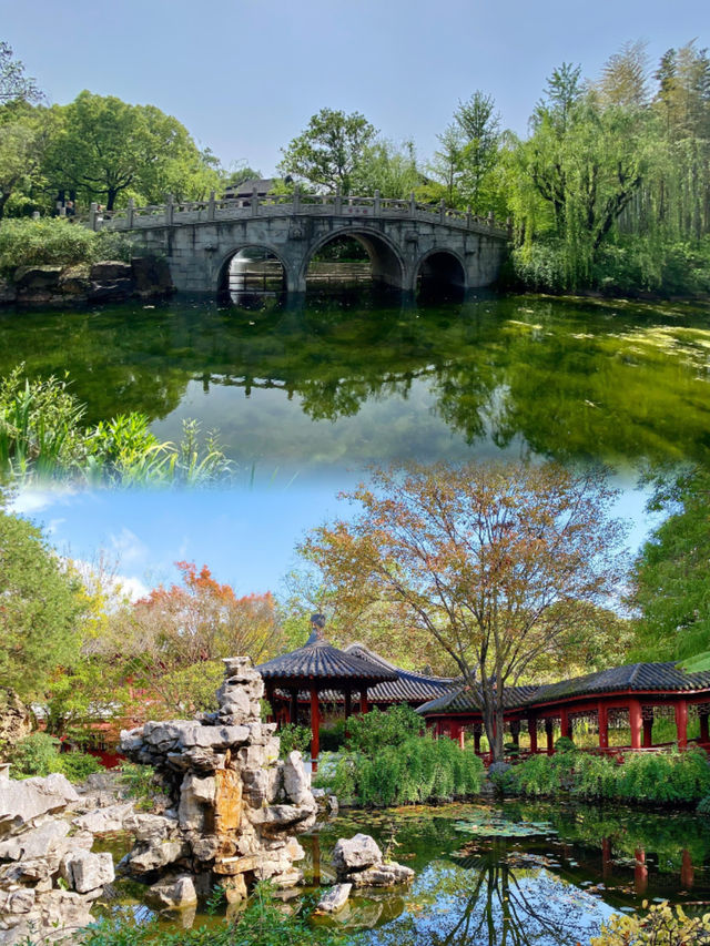 未到林園，春色何處可知否