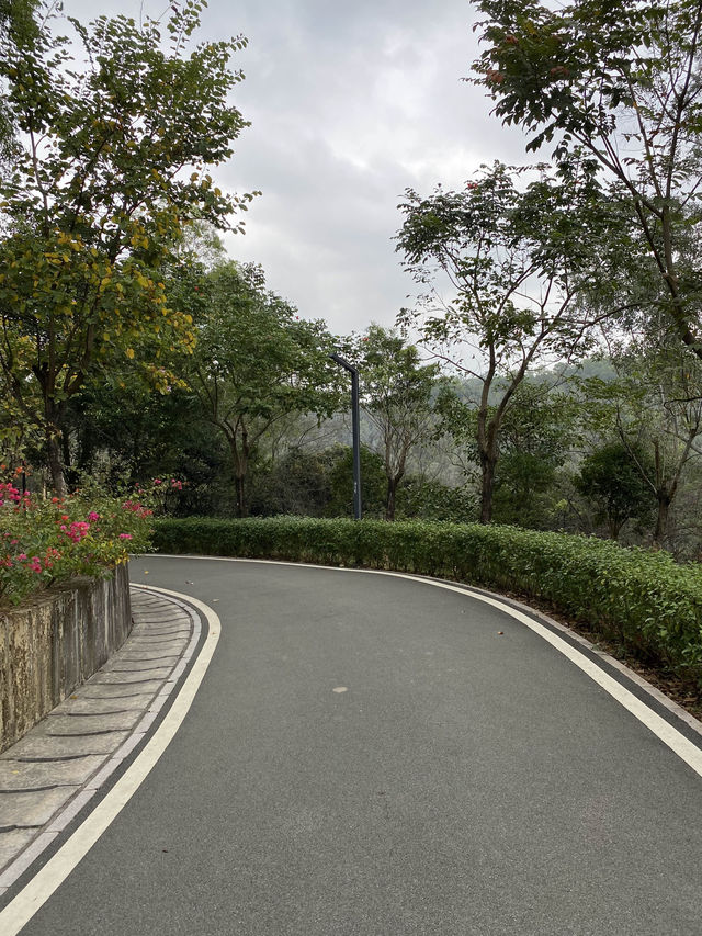 Longcheng Park Shenzhen 