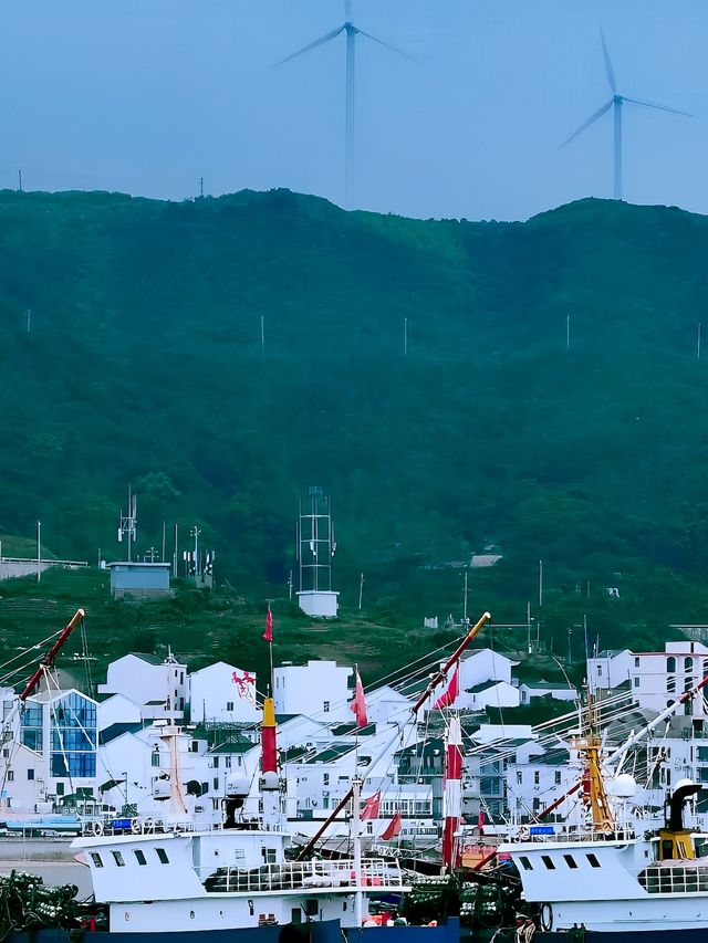 大膽預測！這是浙江即將爆火的小眾海島！！！