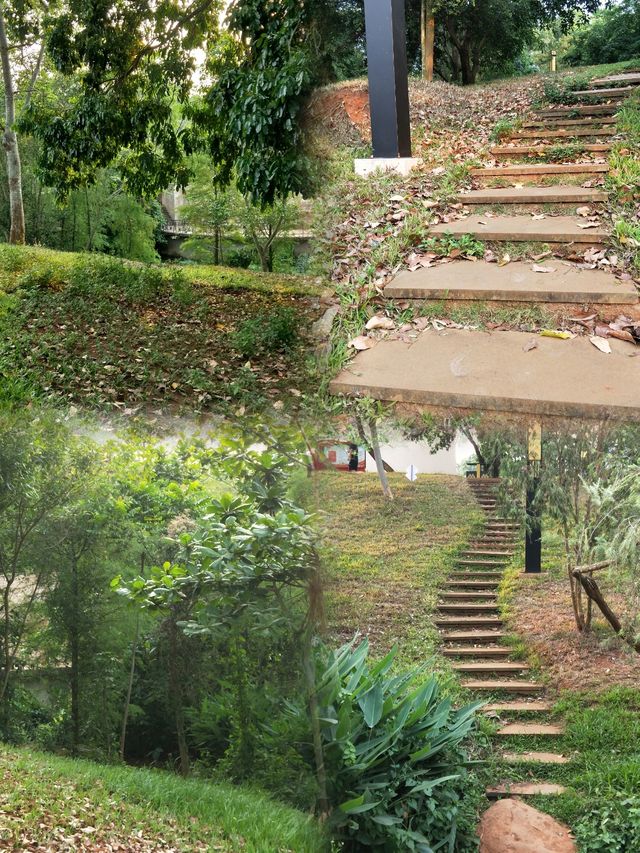 徐聞人民公園最佳遊玩攻略 徐聞人民公園最佳遊玩攻略