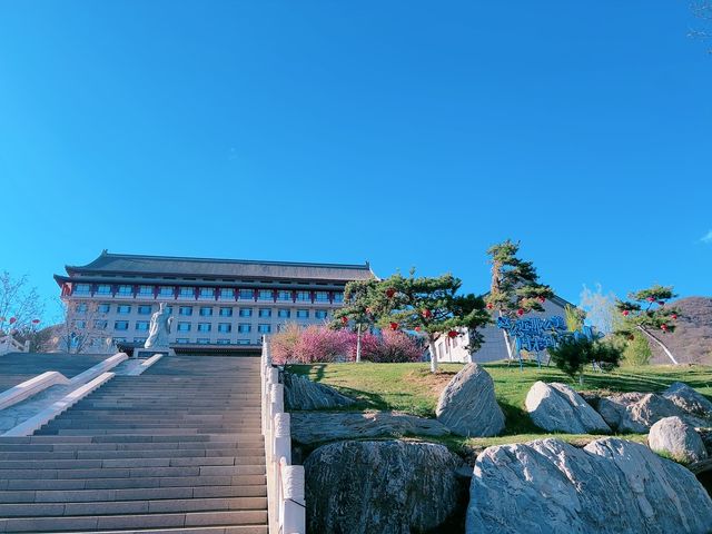 這麼近，那麼美