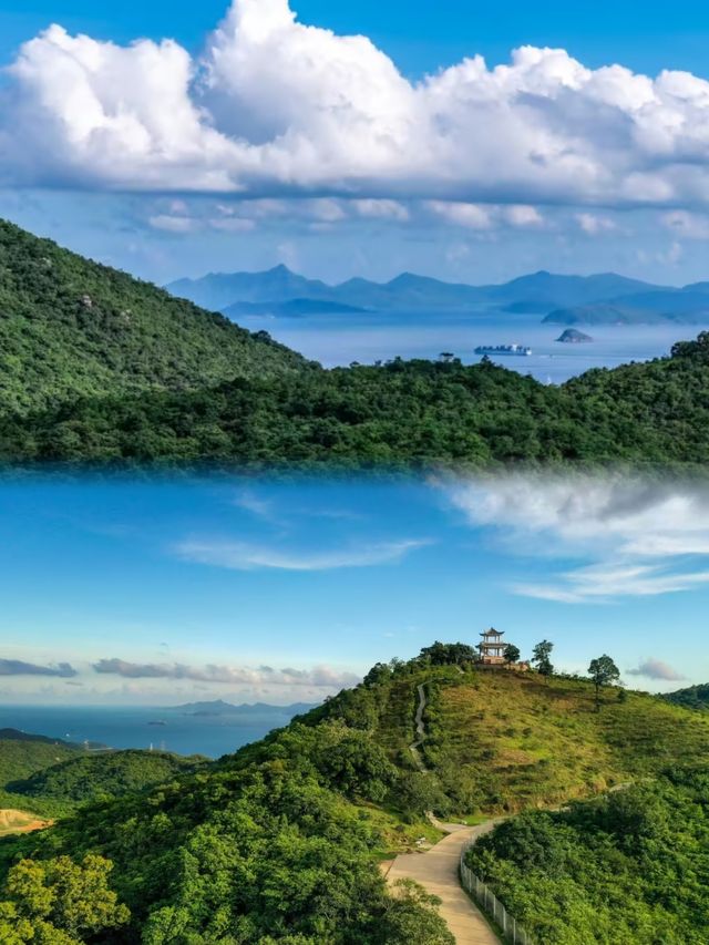 深圳週末山野漫步吸氧最推薦的郊野公園