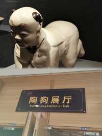 南陽旅遊南陽市博物院