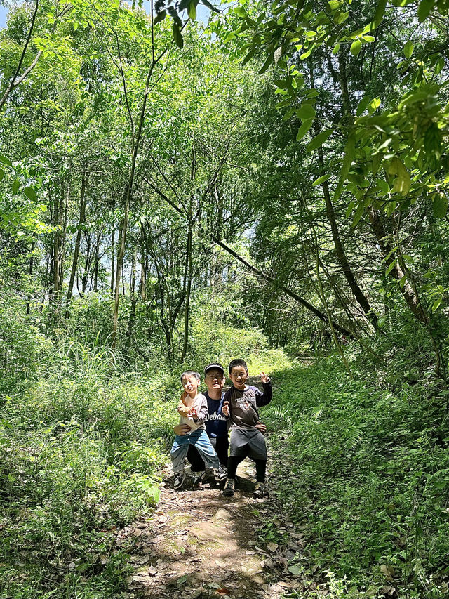 成都1h，穿越森林之門感受春和景明