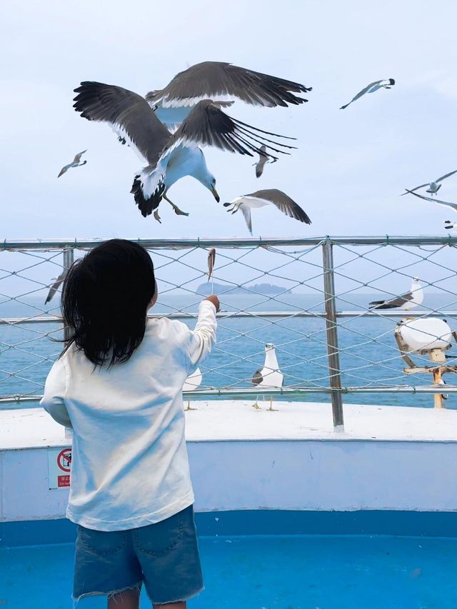 榮城｜親子遊絕不能錯過的寶藏海邊