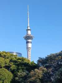 阿爾伯特王子公園