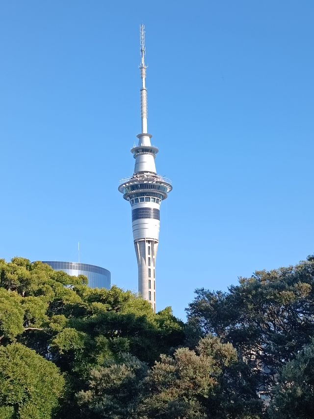 阿爾伯特王子公園