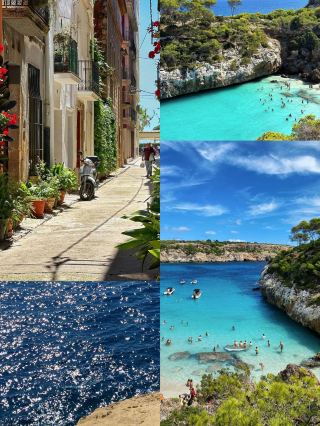 Mallorca Jelly Sea