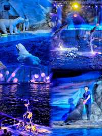 來青島怎能不去極地海洋公園呢！