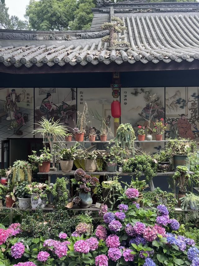 成都仙家重地！見到這隻鶴才算真正去過成都鶴鳴山