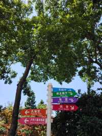 莫奈花園，拍照聖地！！