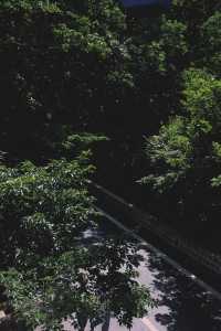 六月，宜爬山