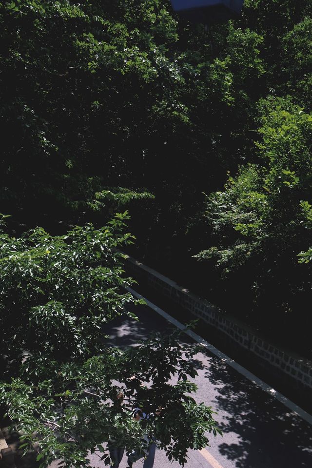 六月，宜爬山