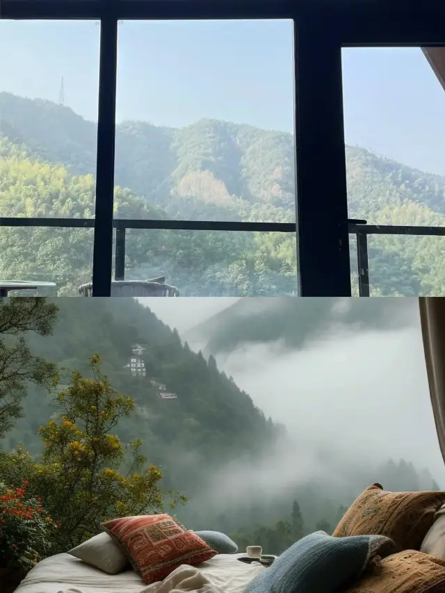 숲 전체를 소유한 민박집