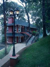 🌴✨ Coorg's Wilderness Luxury: Top Hotel Picks! ✨🌴