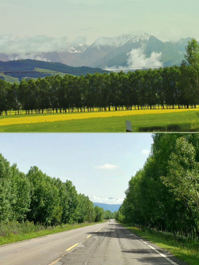 昭蘇濕地：天馬踏浪，自然奇觀