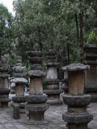 济南深山里竟然又唐代石窟