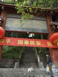 暑期近郊親子徒步寶藏地 | 跑馬嶺避暑納涼，好愜意