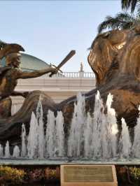 🌟✈️ Luxe Layovers: Emperors Palace's Finest! 🏨👑