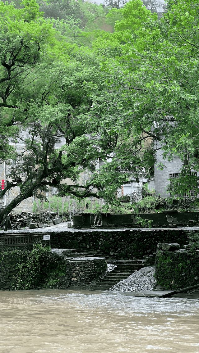 景德鎮周邊一日遊
